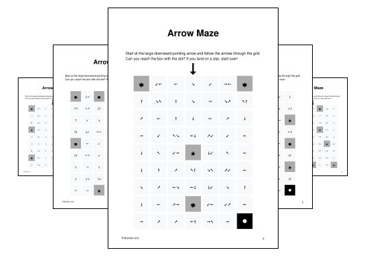 Arrow Maze