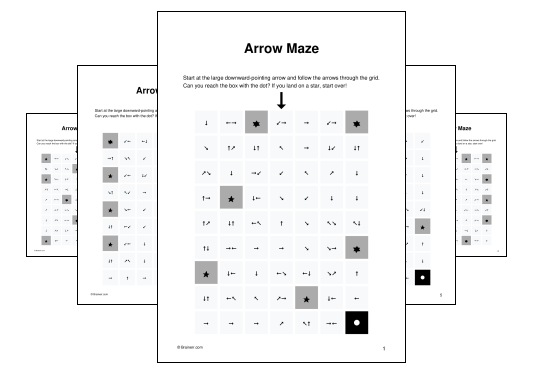 Arrow Maze