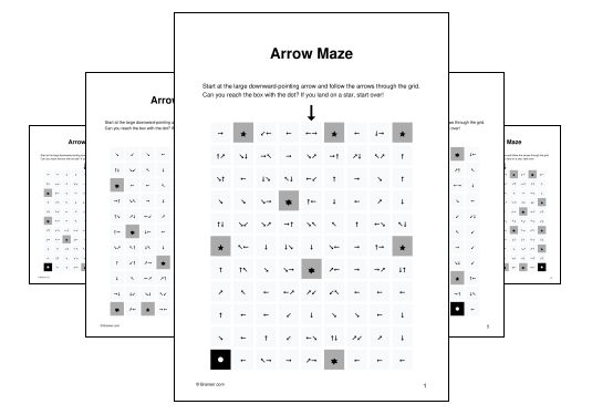 Arrow Maze