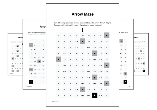 Arrow Maze