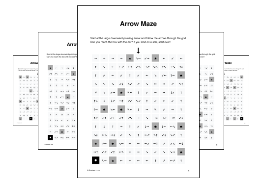 Arrow Maze