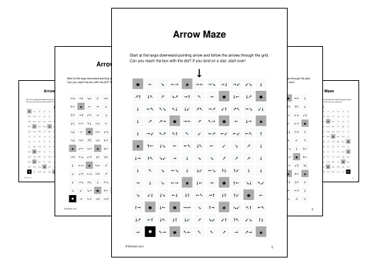 Arrow Maze