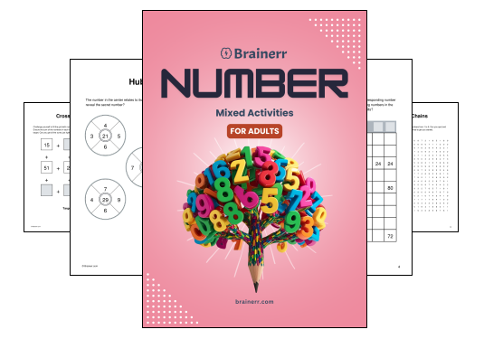 Mixed Number