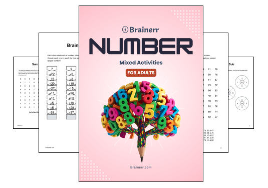 Mixed Number