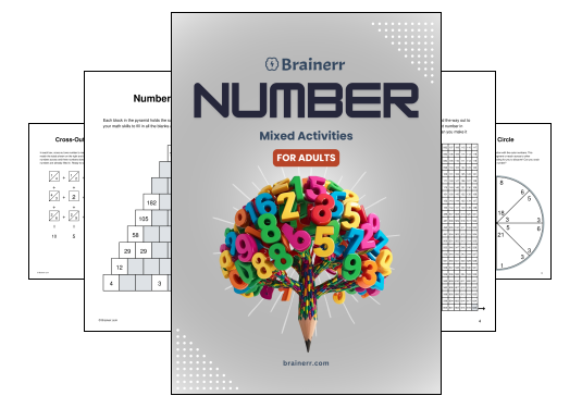Mixed Number